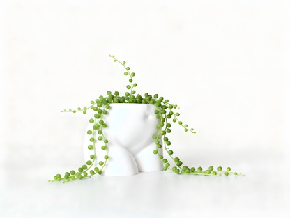 Trihug Butt Planter – Cute Minimal Desk Decor & Mini Storage Pot