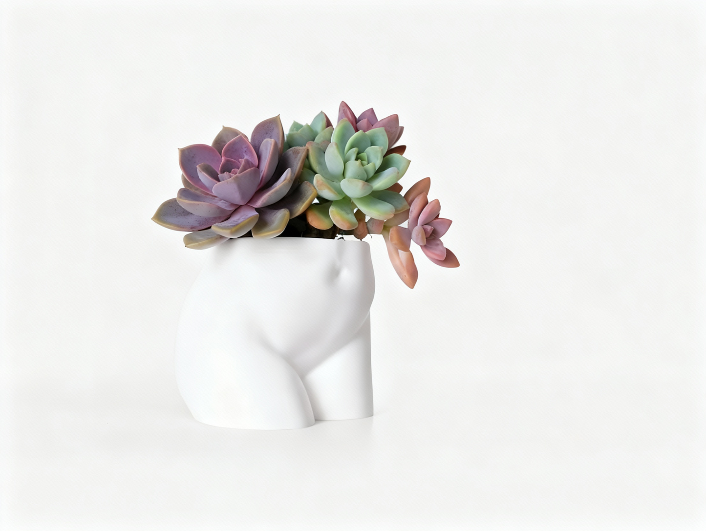 Trihug Butt Planter – Cute Minimal Desk Decor & Mini Storage Pot